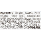 Earth's Best Baby Foods Peach Banana Juice (2x6x4.2 Oz)
