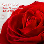 WILDLOVE 永生玫瑰「我愛你」項鍊禮盒